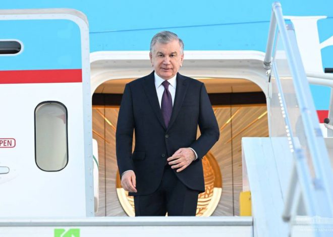 Ózbekstan Prezidenti ámeliy sapar menen Germaniyaǵa keldi